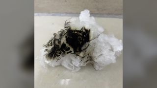 生分解性高難燃性リヨセルステープル 1.33D*38MM、紡績および不織布用均一カット繊維