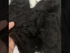 2.5D*64mm ネイティブリサイクル 2D 中空繊維