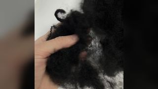 黒色再生難燃性ポリエステル繊維 12D×64mm