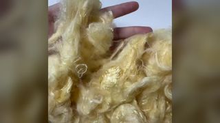 1.5DX51mm 大豆ファイバー