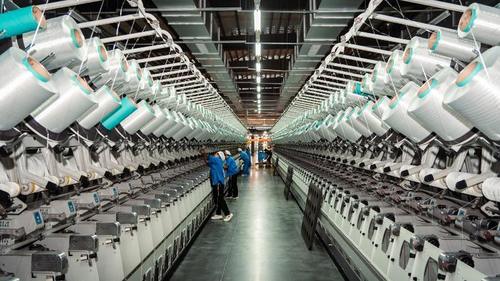 最新の企業ニュース 綿とポリエステル繊維の違い：専門家による詳細な分析