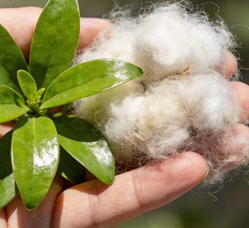 最新の企業ニュース ブラック＆ホワイト中空繊維：繊維・工業製造の定番