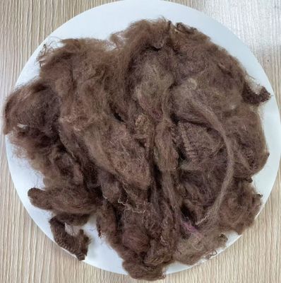 良い価格 リサイクルされたポリエステル ステープルファイバー 2.5D 51mm ダークコーヒー オンライン