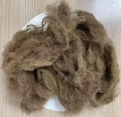 良い価格 低伸度リサイクルポリエステルステープルファイバー 25D 65mm ディープキャメル色 オンライン