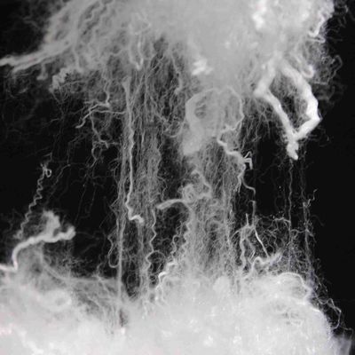 良い価格 4D ヴァージン 低溶融性繊維 110°C 51mm ポリエステル繊維 非織布ベッド用 オンライン