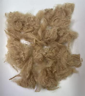良い価格 Recycled Polyester Staple Fiber with 38-64mm Fiber Cut Length High Tear Resistance and 0.4% Moisture Regain オンライン